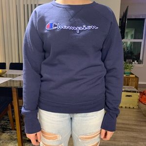 Champion Sweater